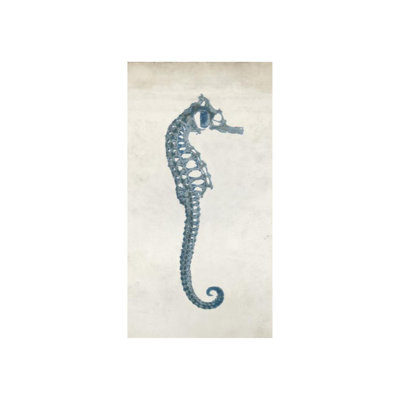 Chris Dunker Sea Horse Cyanotype I by Chris Dunker - Wrapped Canvas Graphic Art