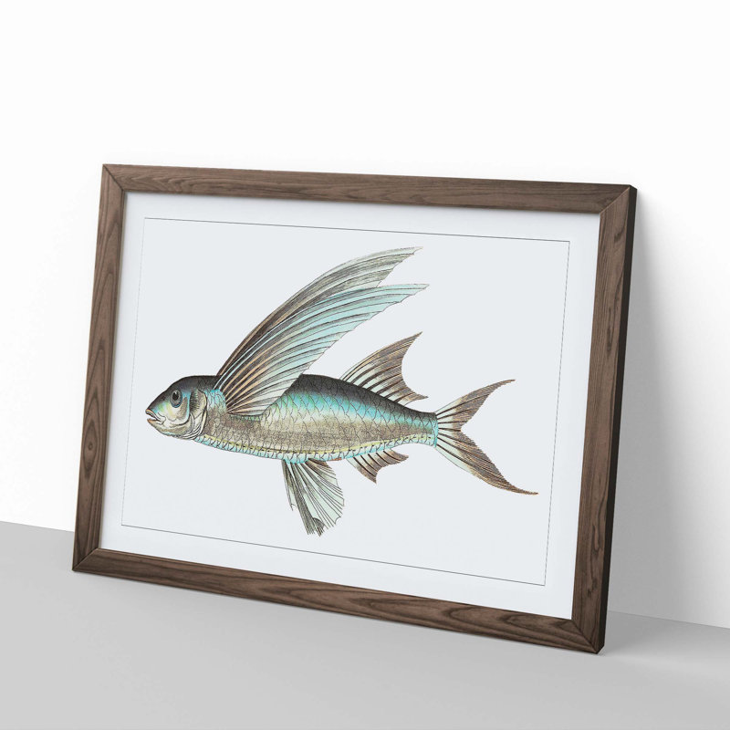 Flying Fish by George Shaw - Framed Print, 27cm H x 36cm W x 2cm D, Walnut Framed