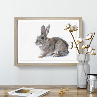 Brown Bunny Rabbit Painting - Single Picture Frame Print on MDF