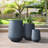 Pot Planter-1644933535