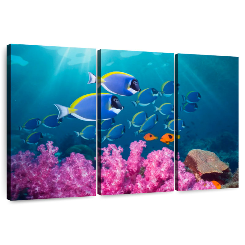 Brampt Vibrant Andaman Sea Life, 24" H x 38" W