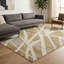 Chaiken Area Rug-19044606-19044607