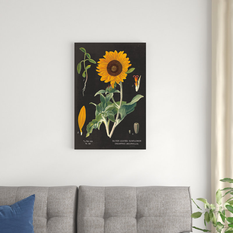 Tableau de tournesol, H 30 po x l 20 po x P 1,25 po