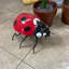Petite statue de coccinelle rouge surdimensionnée