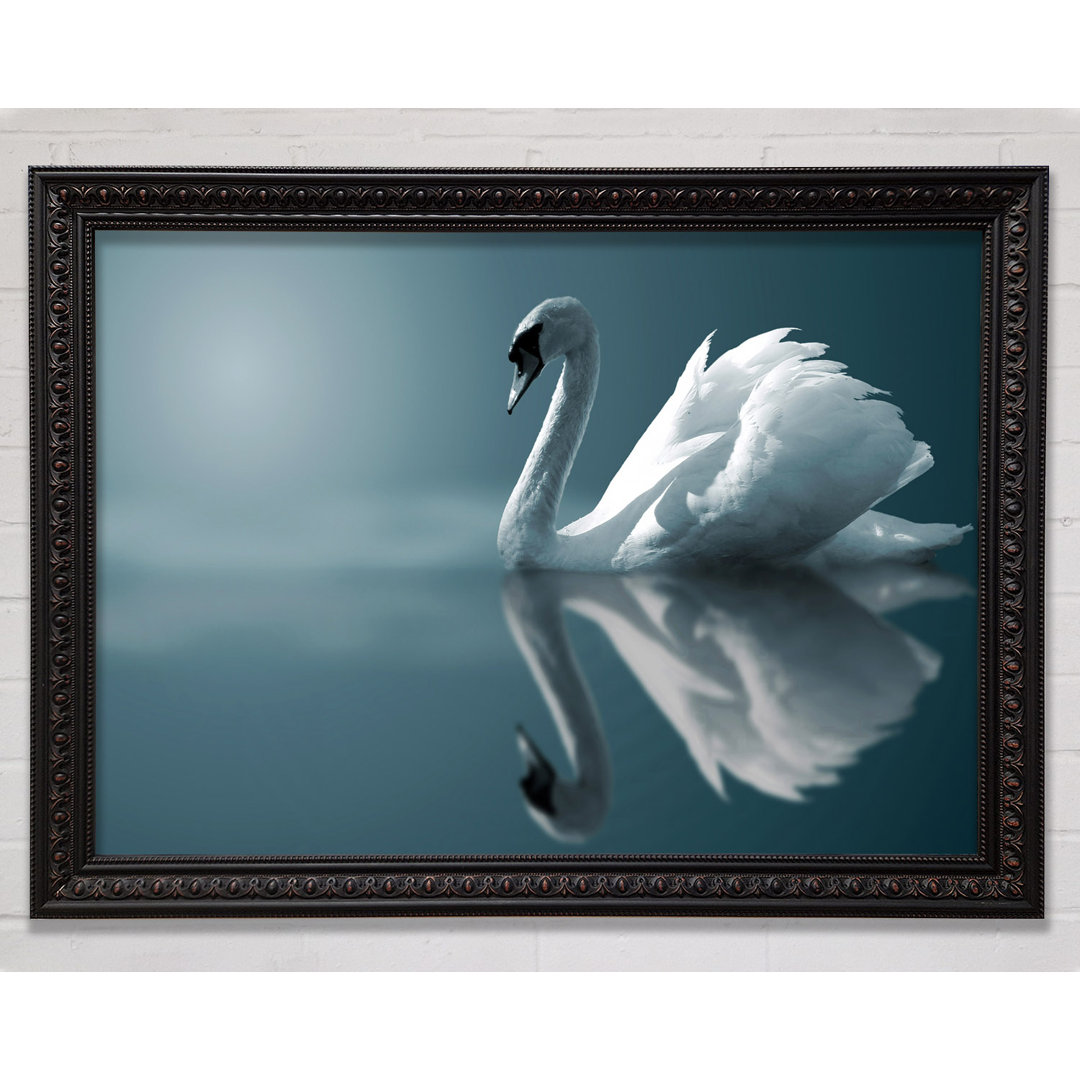 Swan Reflections - Einzelner Bilderrahmen Kunstdrucke