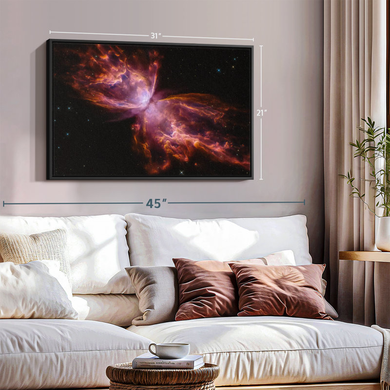 Butterfly Nebula Canvas Print