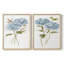 Petite hortensia bleue I - impression encadrée de qualité supérieure - prête à être accrochée - aucun clou requis - aucun clou requis-1635396375-1635396369