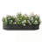 Oval Large Metal Raised Planter Bed for Plants-989368439