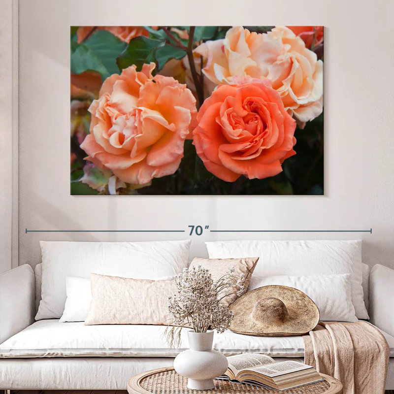 Roses hybrides orange Harnek, H 34 po x l 51 po