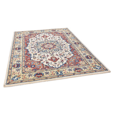 Oriental Hand Woven Area Rug