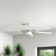 Penton Ceiling Fan with LED Lights