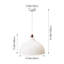 1 - Light Natural Dome Pendant