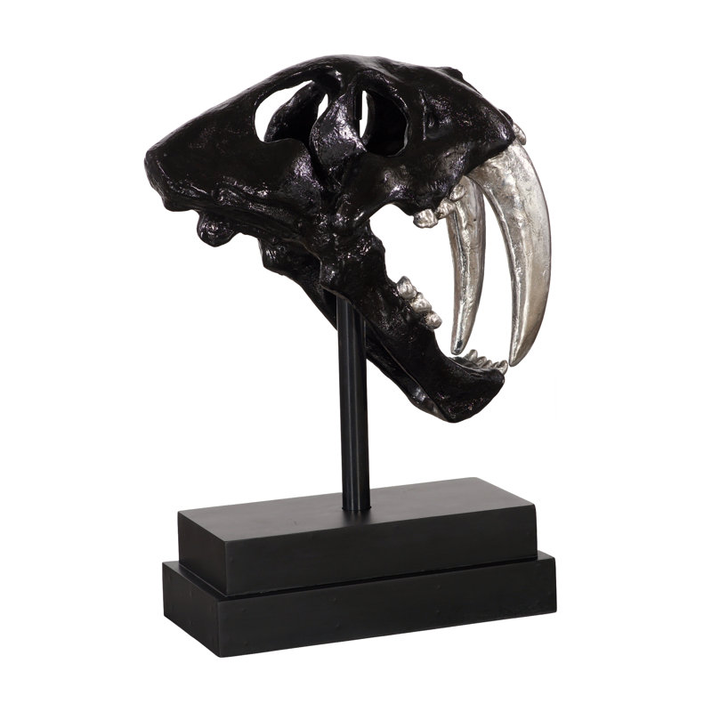Saber Tooth Tiger Skull