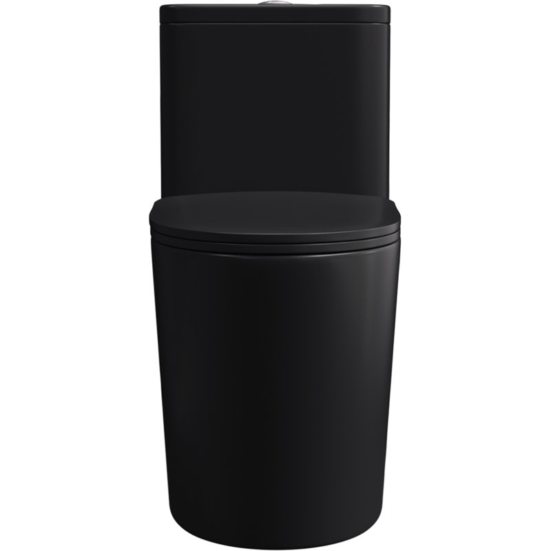 Toilette allongée matte à double chasse mat noir