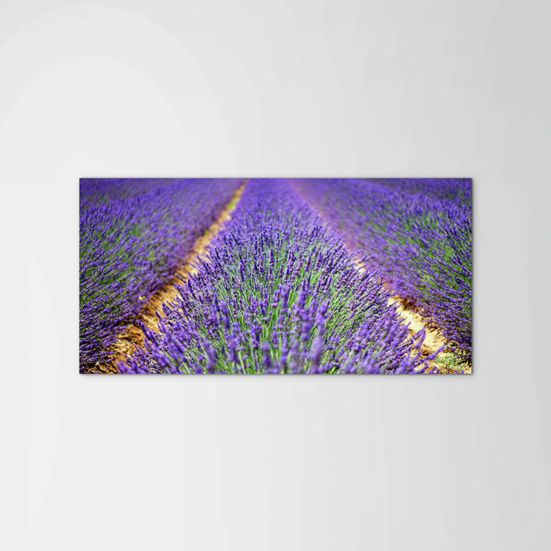 Lavanda by Art Studio 50cm H x 100cm W High Quality Print on Frameless Panel, Lightweight, Ready to Hang, MetalArt Materic