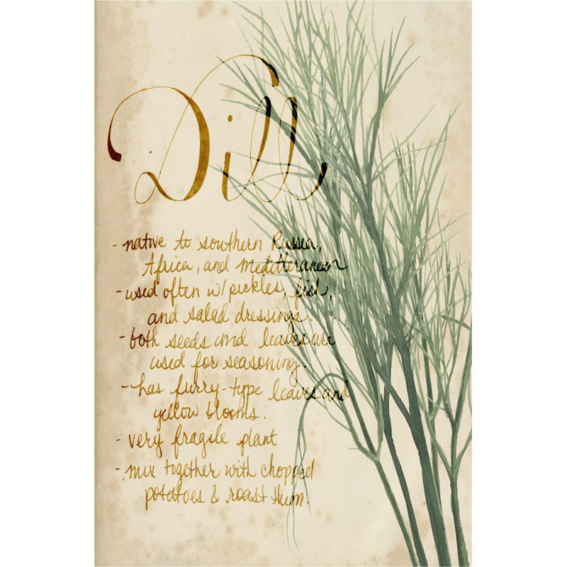 Herb Study II by Grace Popp - Wrapped Canvas Print, 46cm H x 30cm W 