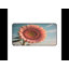 Polyester Desk Pad-646140977