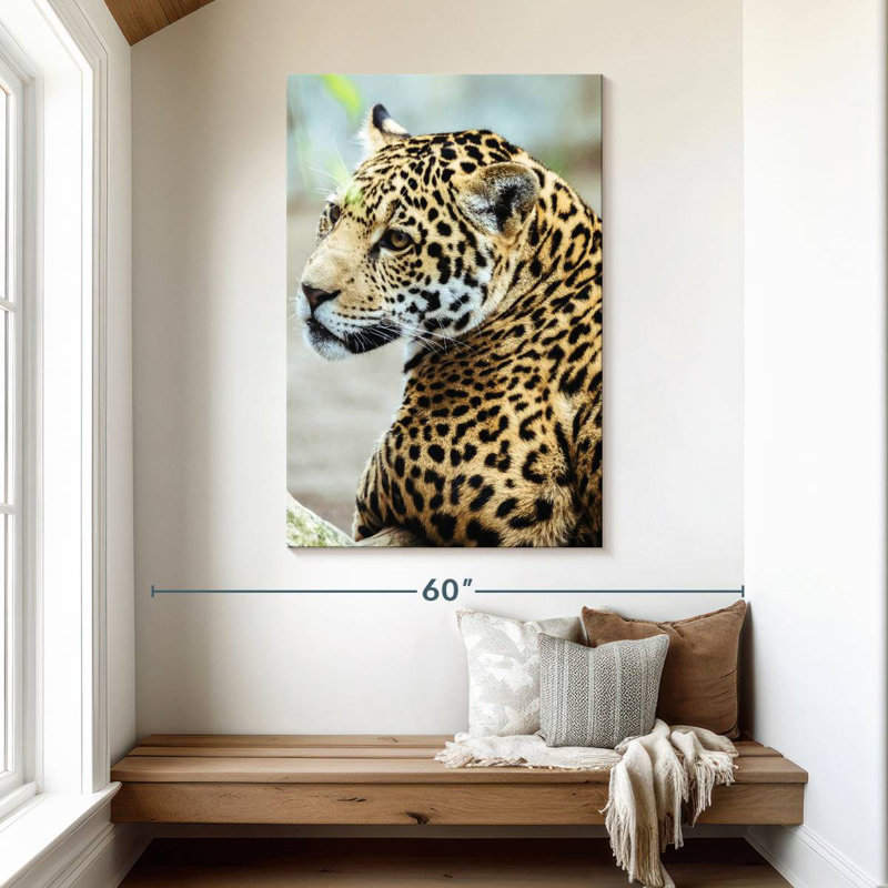 Look Brampt Jaguar, H 48 po x l 32 po