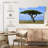 Harnek Acacia Tree In Savannah-108880279