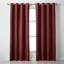 Nalaiyah Velvet Chenille Eyelet Curtains-1315062717-1315062714