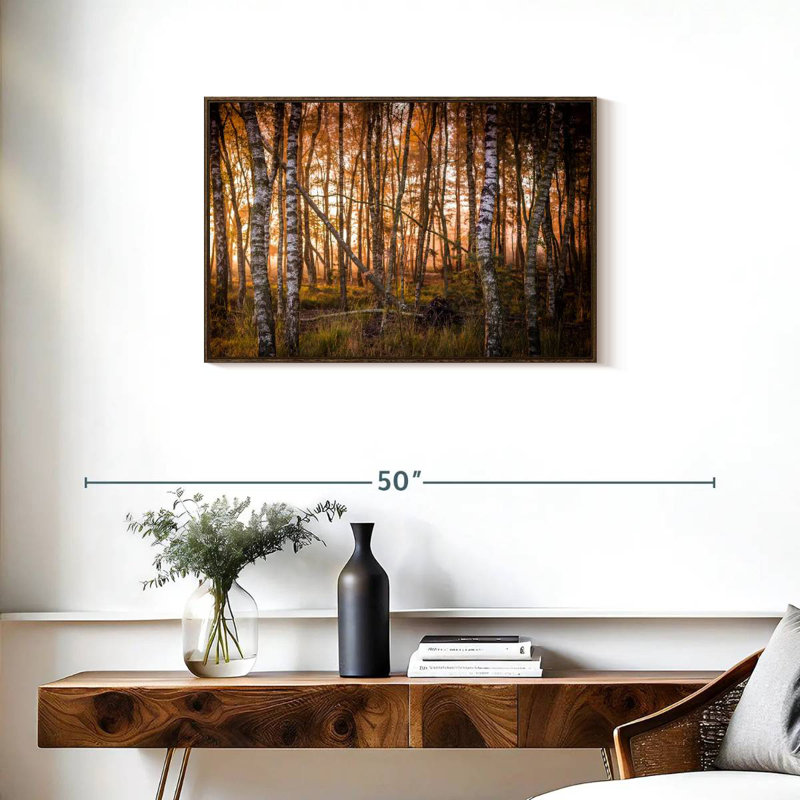 Forêt de bouleaux sombre, Cadre flottant noyer, 31 po x 21 po