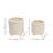 Set of 2 Ceramic Planters Indoor and Outdoor-405657624-405657623