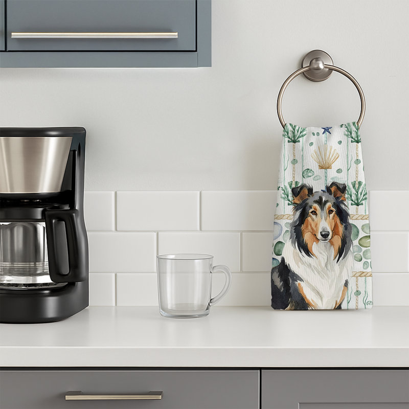 Torchon Tricolor Collie, Colley tricolore