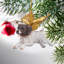 Ornement en forme d'ange pour chien «Honor the Pooch Pointer»