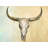 Cow Skull Print On Canvas