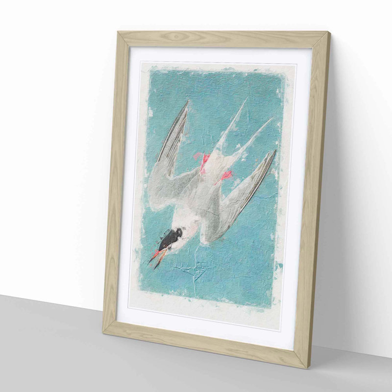 Roseate Tern Bird by John James Audubon - Picture Frame Painting Print, 60cm H x 40cm W x 2cm D, Oak