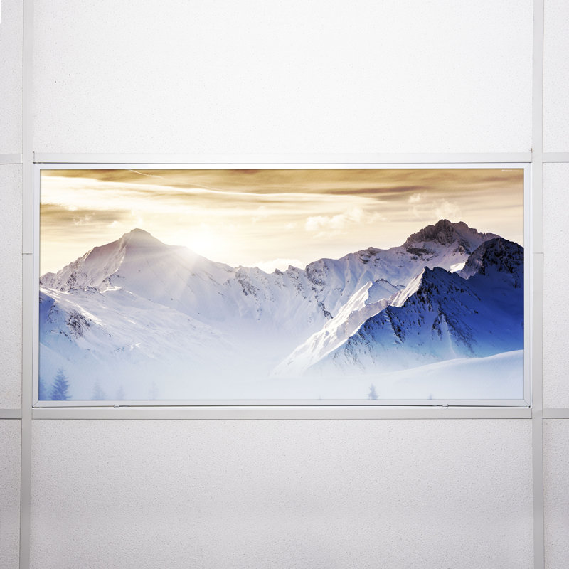 Housses pour lampes de plafond Landscape Classroom Fluorescent - pour luminaire 2 x 4 - par Octo Lights