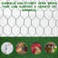 XPT036 Outdoor chicken coop metal big space 26*10*6FT