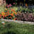 5.75 Ft. H x 12 Ft. W Resin Lawn Edging