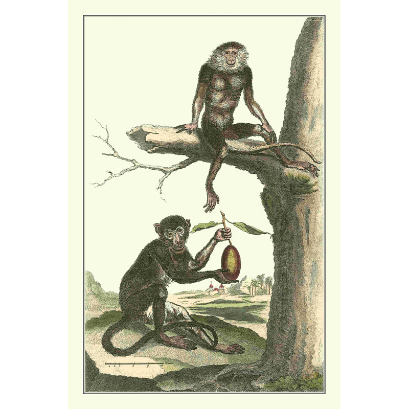 Macaque et Douc Monkeys (PS), H 18 po x l 12 po