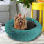 Beignet chaud Artrice-2139347597-2139347632