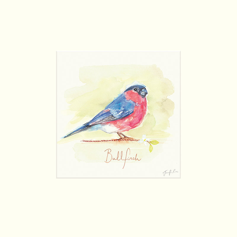 Bullfinch by Jennifer Rose - No Frame Painting