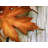Brigit Non-Slip Outdoor Doormat