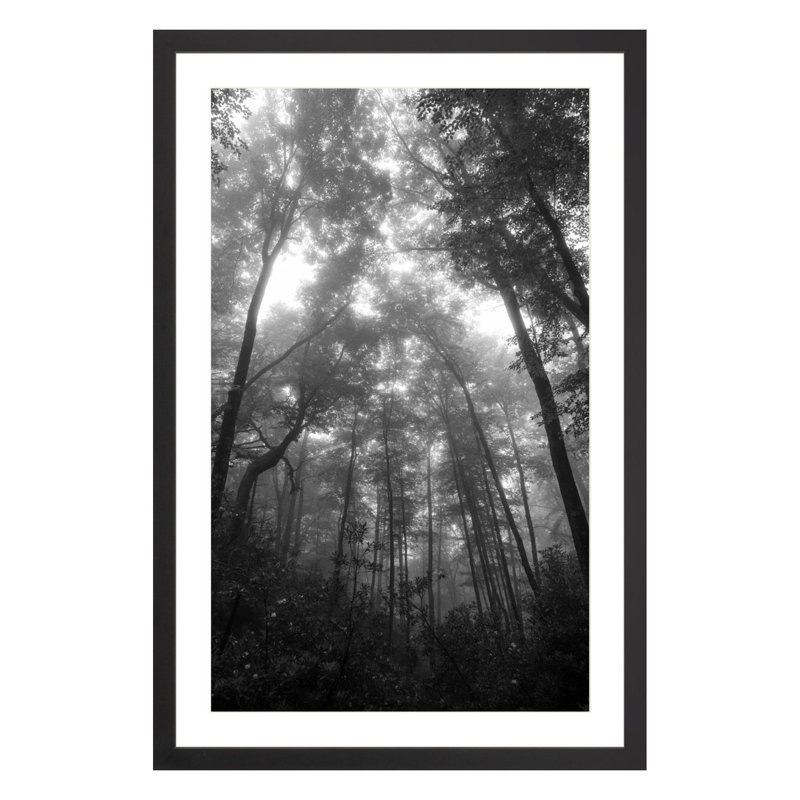 Mountain Mist by Amanda Anderson, Black, 42" H x 28" W x 2.25" D