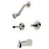 Polished Nickel