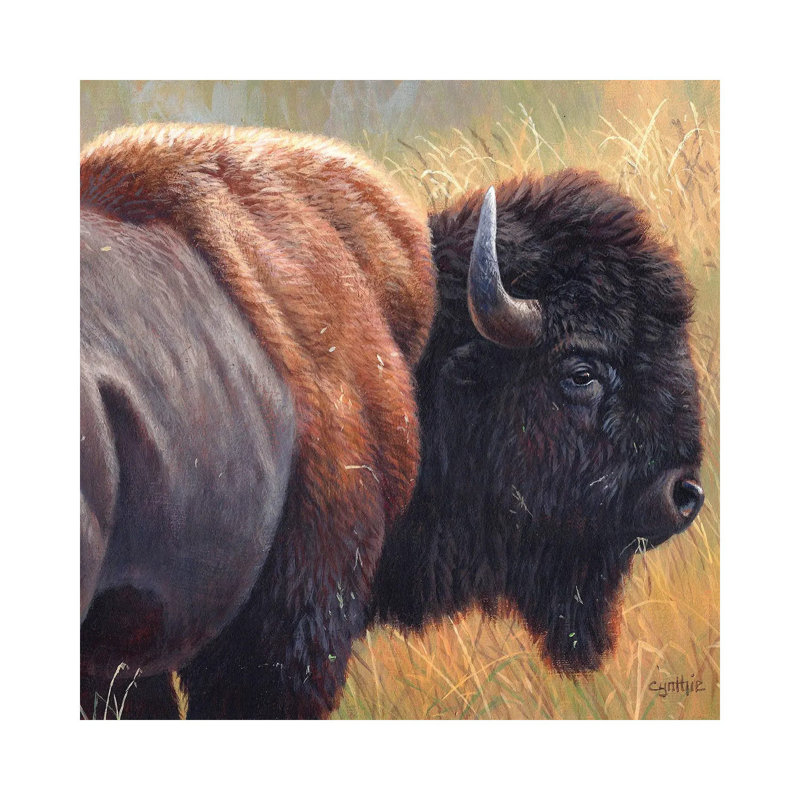 Cynthie Fisher - Wrapped Canvas Print, 30.48 cm H x 30.48 cm W