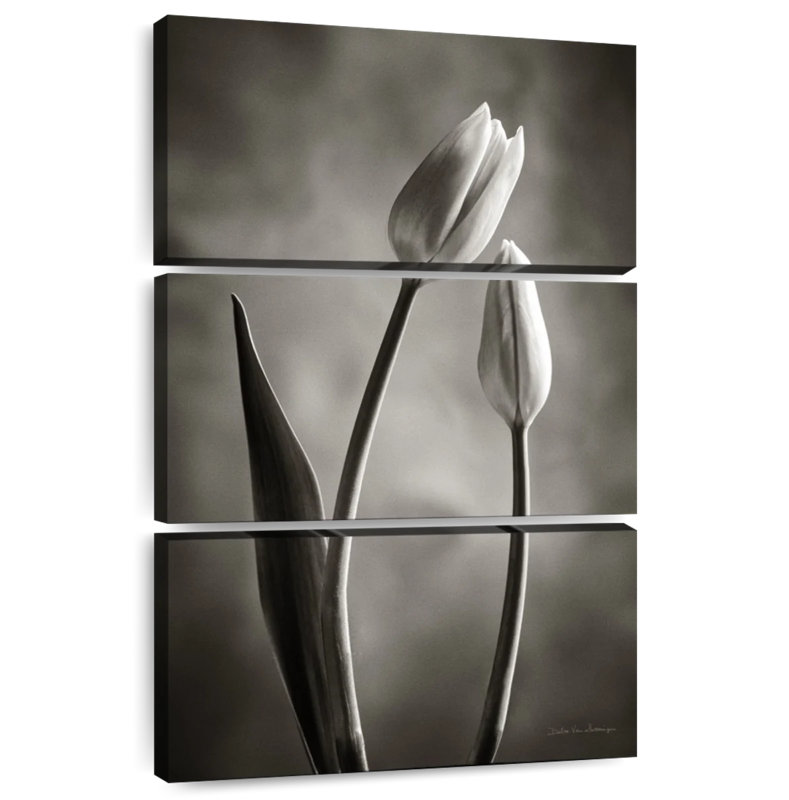 Harnek Two Tone Tulips III, 32" H x 20" W