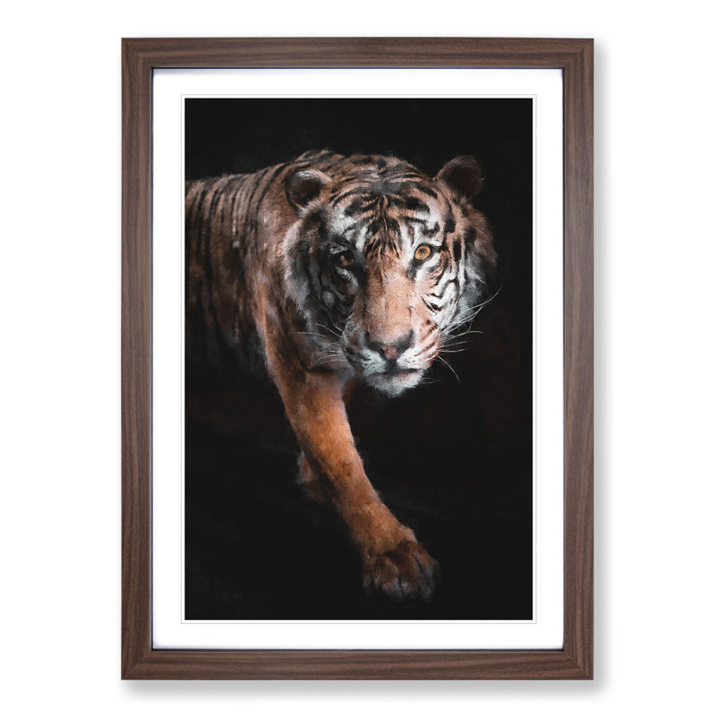 Prowling Tiger - Framed Print, 48cm H x 36cm W x 2cm D, Walnut Framed