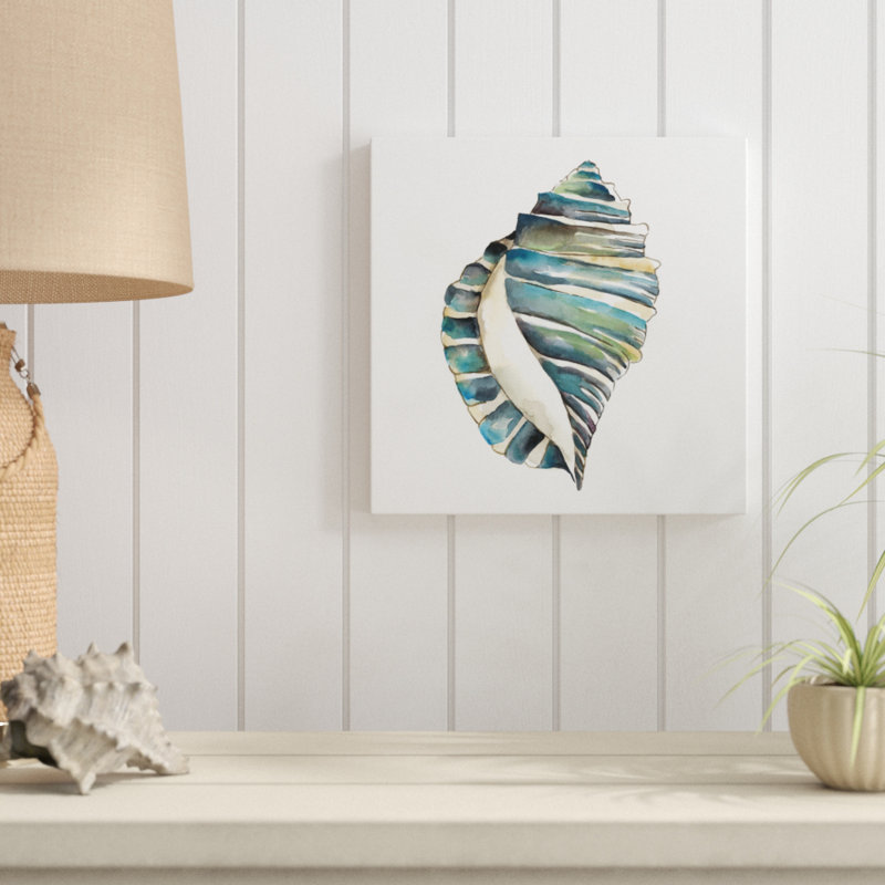 Aquarelle Shells I by Chariklia Zarris - Wrapped Canvas Painting, 30cm H x 30cm W