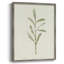 «Olive Leaves III», reproduction encadrée - bois massif-449455303