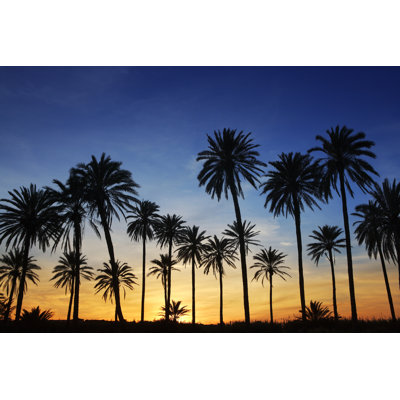 «Palm Trees Sunset» par Lunamarina - Photographie sur toile tendue