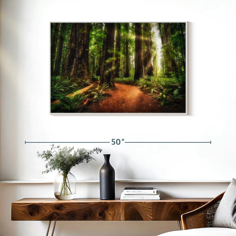 Lever de soleil au parc d'État Jedediah Redwoods, Cadre flottant blanc, 37 po x 25 po