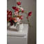 Vase Tulipa