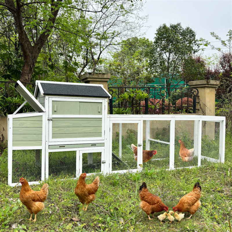 Poulailler en bois, grande cage à poule extérieure avec cage de volaille et cage de nidification, clapier à lapin, panneau anti-UV imperméable pour la cour