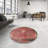 Oriental Indoor Rug-494783948