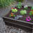Raised Garden Bed 3-Pack (3 Beds, No Enclosure)